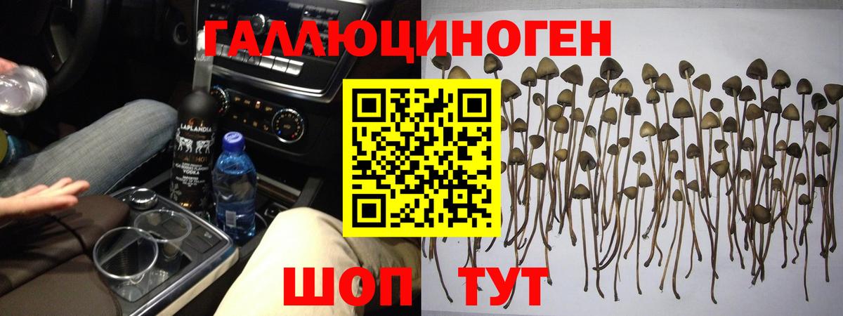 Галлюциногенные грибы GOLDEN TEACHER Орёл