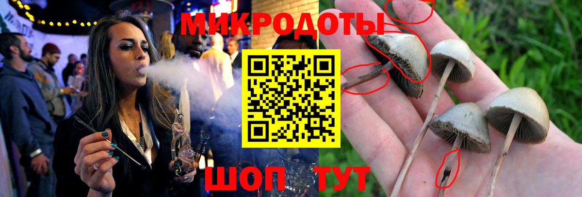 Псилоцибиновые грибы MAGIC MUSHROOMS  Галлюциногенные грибы прущие грибы  Вход с VPN  Орёл 